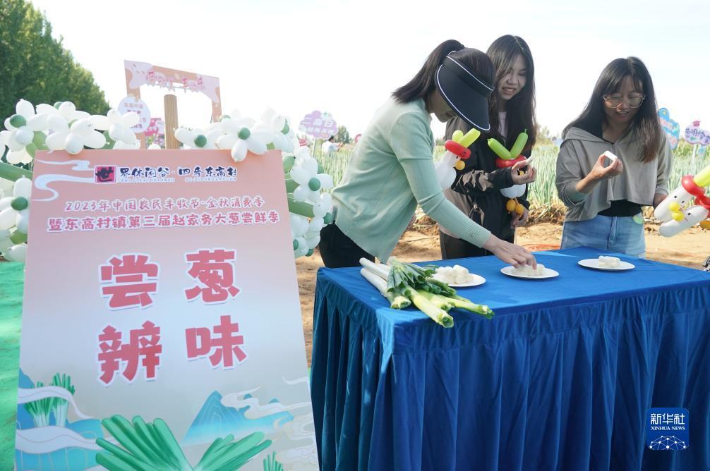 新百老汇网站